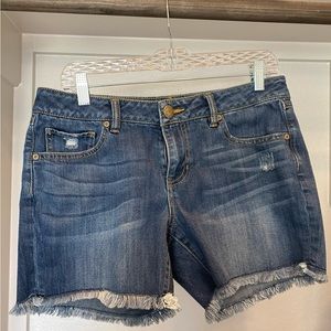 CAbi distressed cutoff jean shorts
